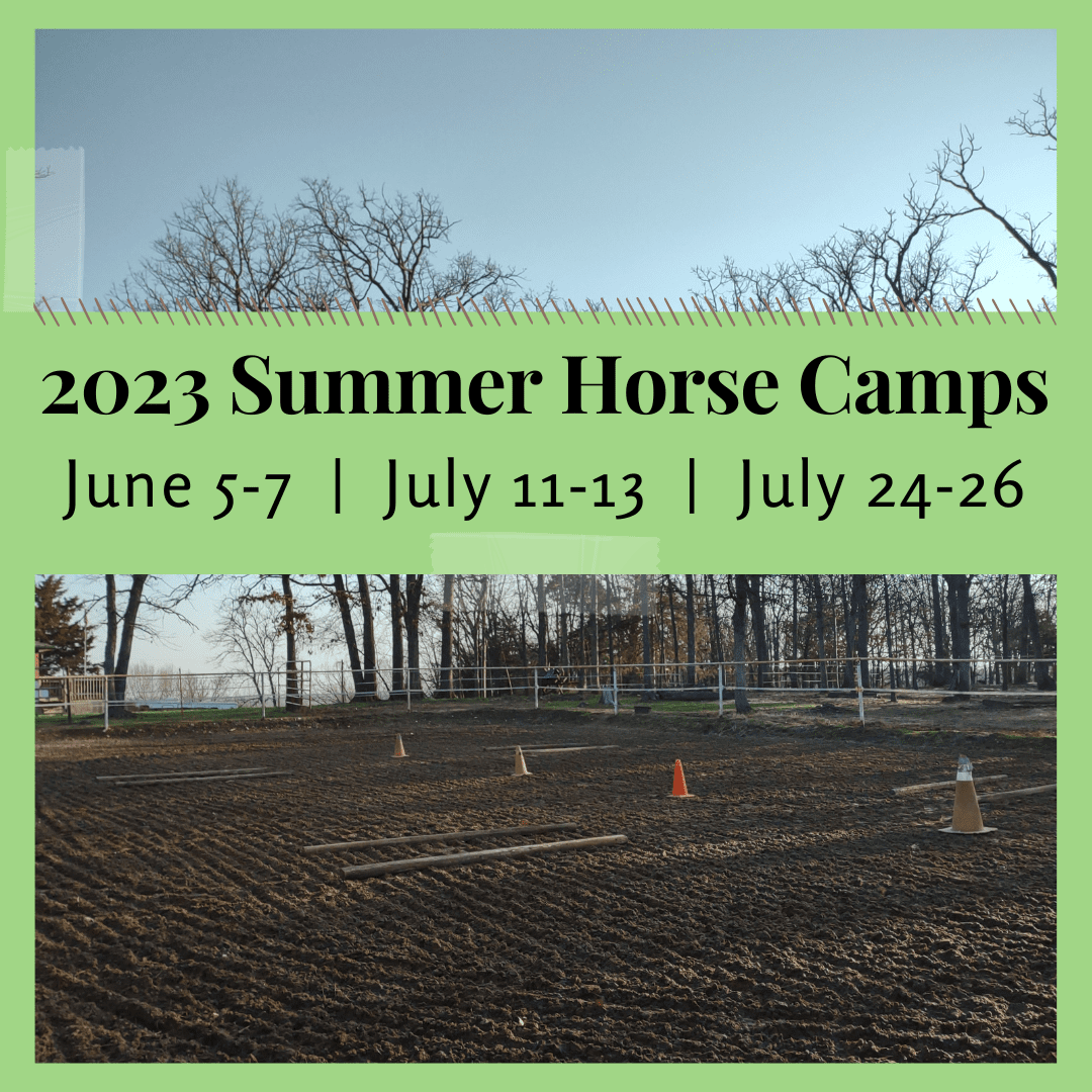 B and B Farm Summer Horse Camps 2023
